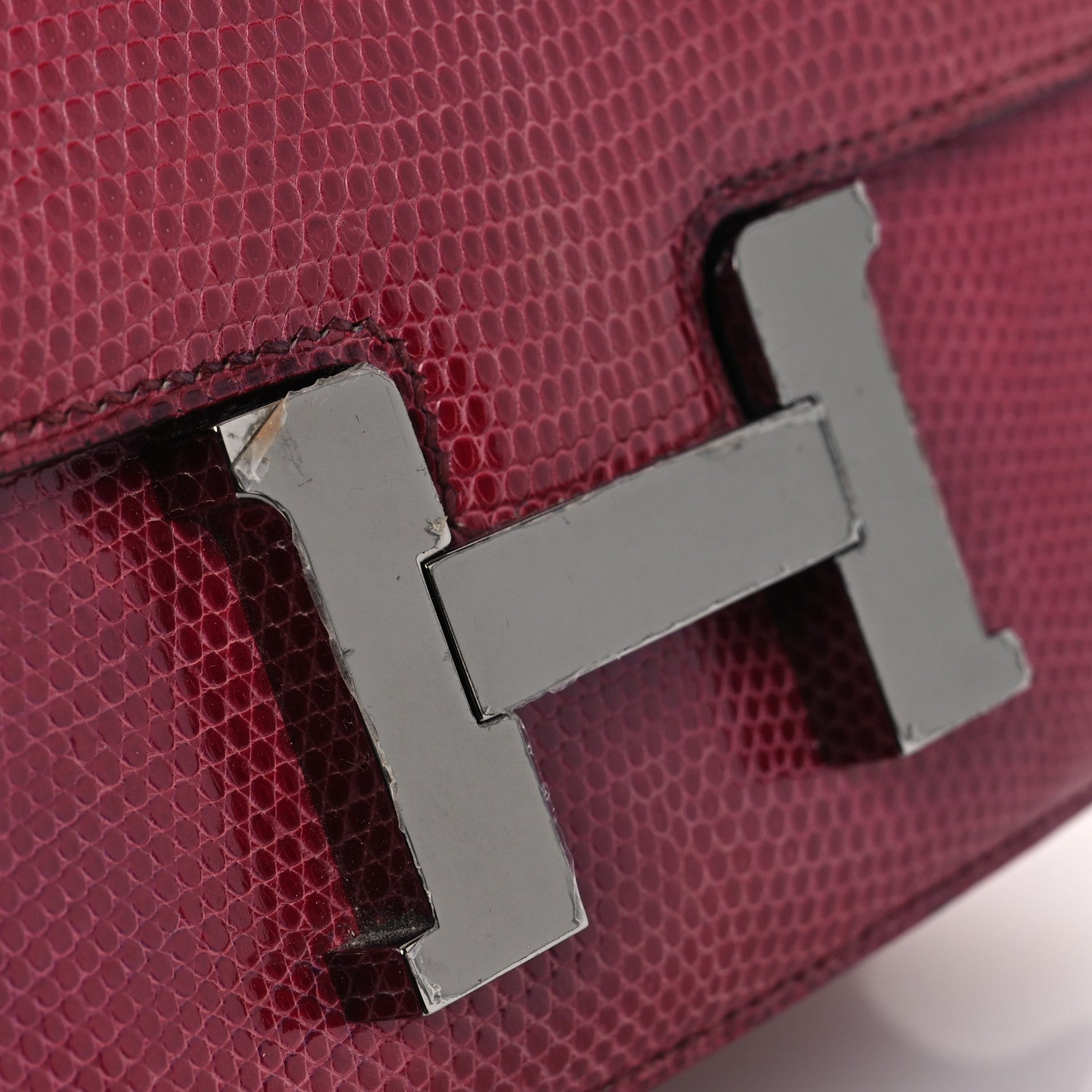 Lizard Constance 18 Fuchsia - Image 11