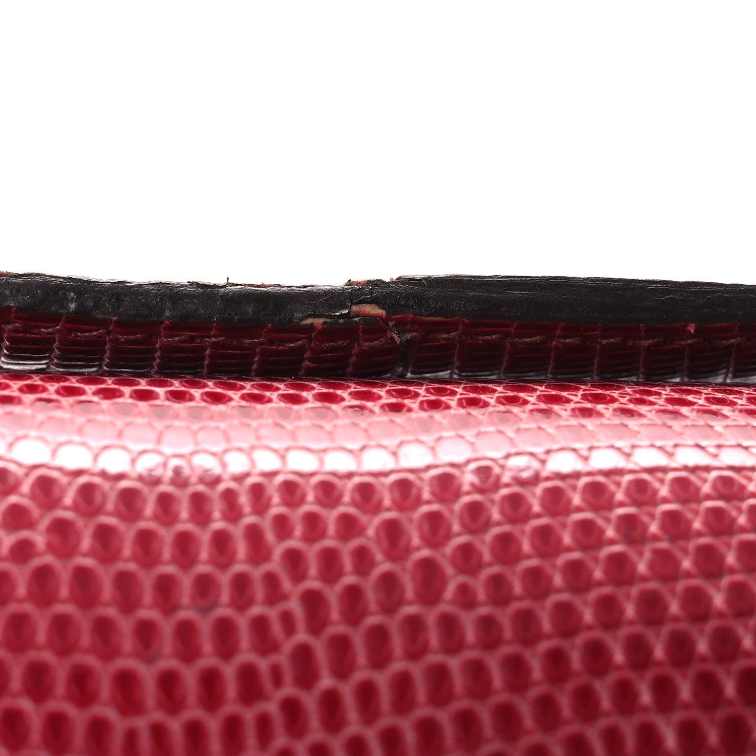 Lizard Constance 18 Fuchsia - Image 13