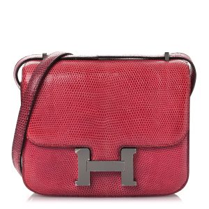 Lizard Constance 18 Fuchsia