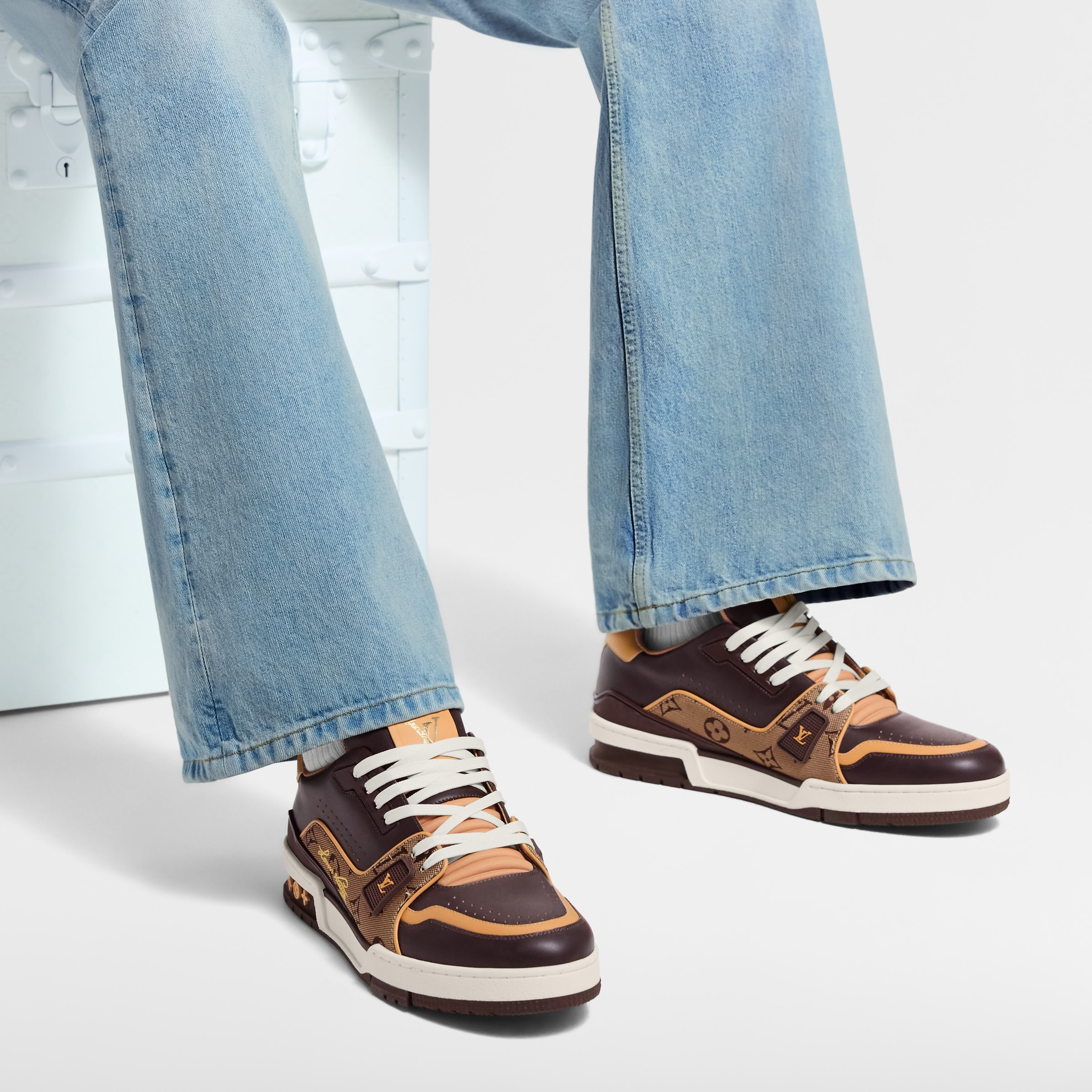 Louis Vuitton LV Trainer Brown Monogram Leather Sneaker - 图片 6